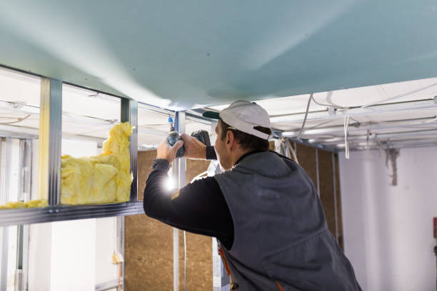 Best Commercial Insulation in Pella, IA
