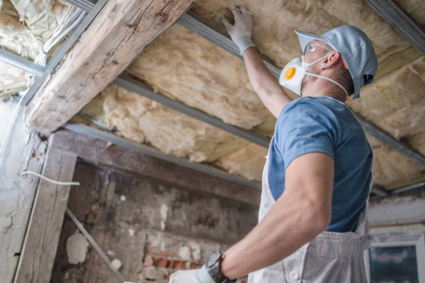 Best Insulation Maintenance and Repair in Pella, IA